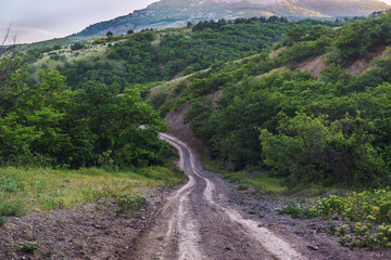 Dirt road to the open mountain range