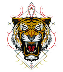 Tiger head illustration. design for T shirt , mascot, logo team, sport, and other.