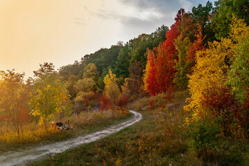 Obraz premium Beautiful Autumn in Toronto