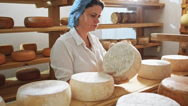 Female cheesemaker in white uniform and cap checking cheese quality working at small producing farm on sunny background. Female farmer making cheeses in warehouse. Dairy industry. Food business.