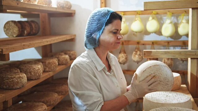 Handsome cheesemaker in uniform checking the seasoning of Parmesan cheese cooking process on sunny background. Woman making delicious traditional food at small producing farm. Farmers insurance. 4K