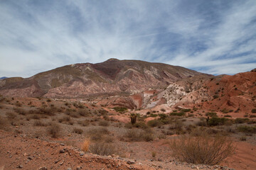 Desert landscape. View of the arid environment, canyon, desert flora, sand and rocky mountains with beautiful mineral colors and textures. 
