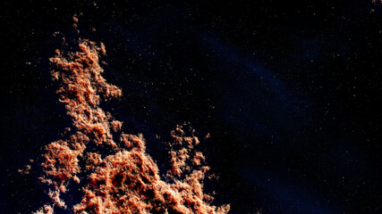 Universe filled with stars, deep space nebula and galaxy
