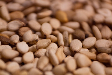 Semillas de ajonjol&iacute; 