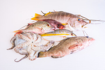 Fresh-catch-of-fish-caribbean-seafood-isolated-on-white-background. Still life Raw food