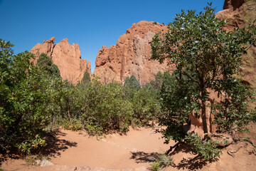Red rock formations in Garden of the Gods park, located in Colorado Springs, CO