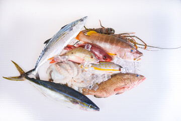 Cleverly arranged still life.Raw Sea food. Fresh Catch fishes, Lobster and Octopus with ice on-white-background