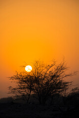 Fototapeta premium sunrise