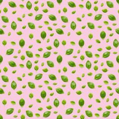 Italian Basil leaf herb seamless pattern on pink background, Creative seamless pattern made from fresh green basil flat lay layout.