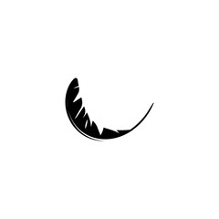 Obraz na płótnie Canvas feather logo