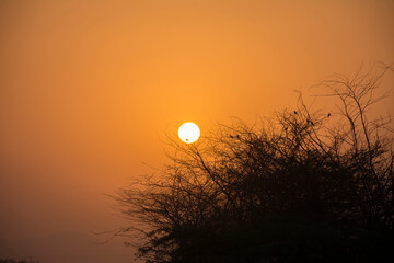 Obraz premium sunrise