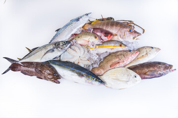 Still life.Raw Sea food. Fresh Catch tropical fishes, Lobster and Octopus on-white-background