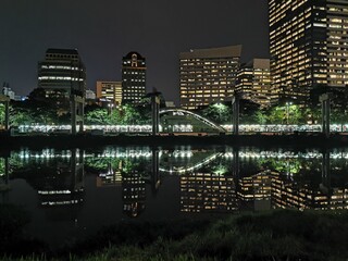 Morumbi Train Station across the Pinheiros river at Night