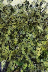 Trees and branches Illustrations creates an impressionist style of painting.