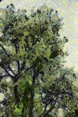 Trees and branches Illustrations creates an impressionist style of painting.