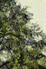 Trees and branches Illustrations creates an impressionist style of painting.