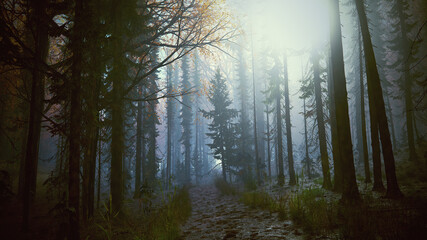 Forêt sombre avec la lumière qui transperce les feuillages et le brouillard