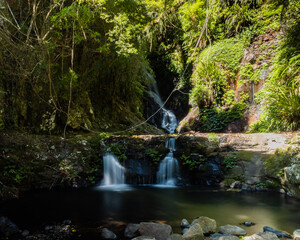 waterfall in the forest