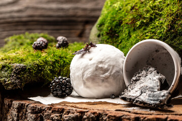 Fresh brie cheese with white mold. goat cheese crottin de chavignol , home made cheese farmer, The concept of natural eco food, catering, banner, menu, recipe