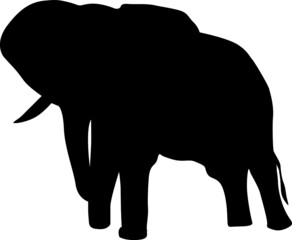 Silhouette Design from the Elephant in Black