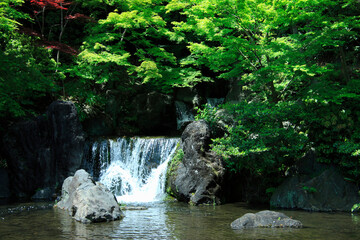 滝