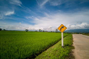 Rice fields with signpost