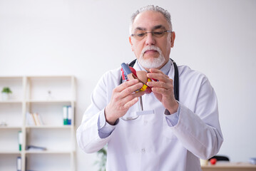 Old male doctor cardiologist working in the clinic