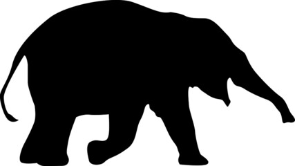 Silhouette Design from the Elephant in Black