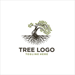 oak tree root logo design template silhouette vector