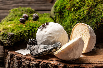 goat cheeses crottin de chavignol. Soft french cheese with ash, goat cheeses, home made cheese farmer. The concept of natural eco dairy products