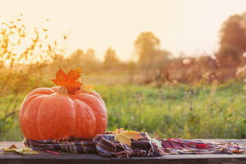 orange pumpkin with autumn leaves on wooden table at sunset