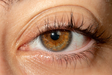 brown half-open eye of a young Brazilian woman