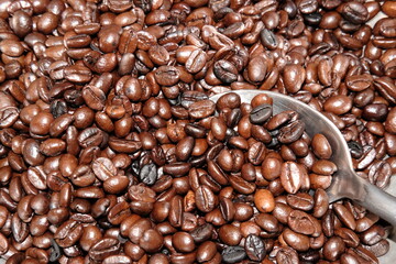 coffee beans background