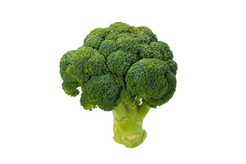 Fresh tasty broccoli isolated on white background.