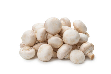 Champignon mushroom isolated on white background.