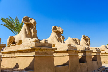 Naklejka premium Avenue of the ram-headed Sphinxes in a Karnak Temple. Luxor, Egypt