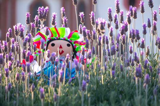 Mu&ntilde;eca de trapo artesanal tradicional rodeada de flores de lavanda