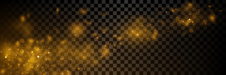 Vector light effect. Sparkling golden particles, glowing bokeh lights isolated on dark transparent background	