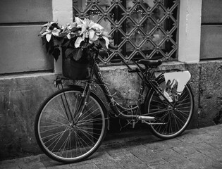 bicycle parked near the wall with a basket of flowers