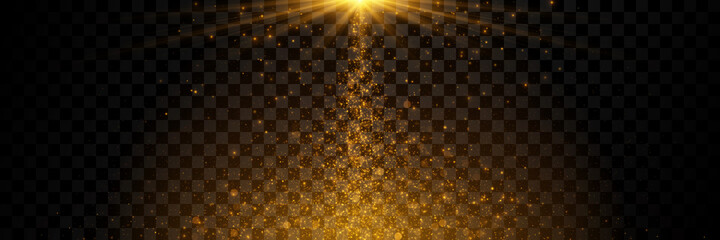 Vector isolated golden light effect.  Gold particles, glowing bokeh lights on dark transparent background	