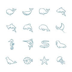 set of aquatic animals