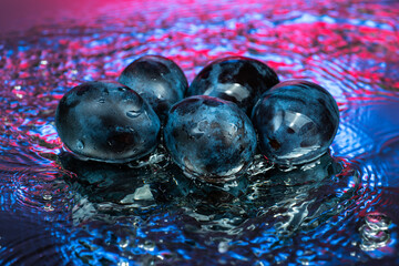 plum or prune on water surface with splash and color reflection