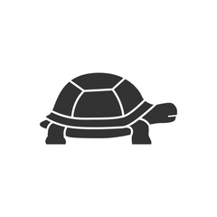 tortoise