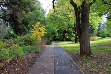 path in adelaide botanic park