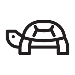 Tortoise on a white background