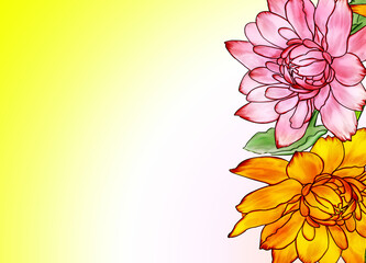 Decorative background of flowers. Dahlias close-up on a yellow and white background. Drawing for printing on fabric or paper.