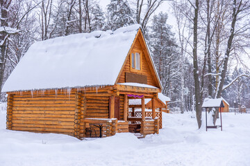 Countryside in winter. Wooden houses and outbuildings covered with snow in cloudy winter day. Rural...