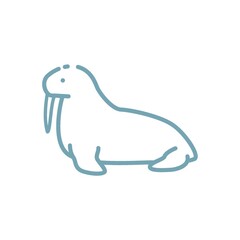 Walrus on a white background