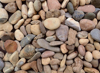 multicolored sea stones of different shades and colors