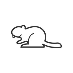 beaver